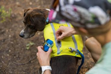 Ruffwear Trail Runner Bowl Blue Pool